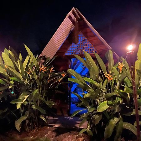 Hotel Bewak Cr Tortuguero Exteriér fotografie