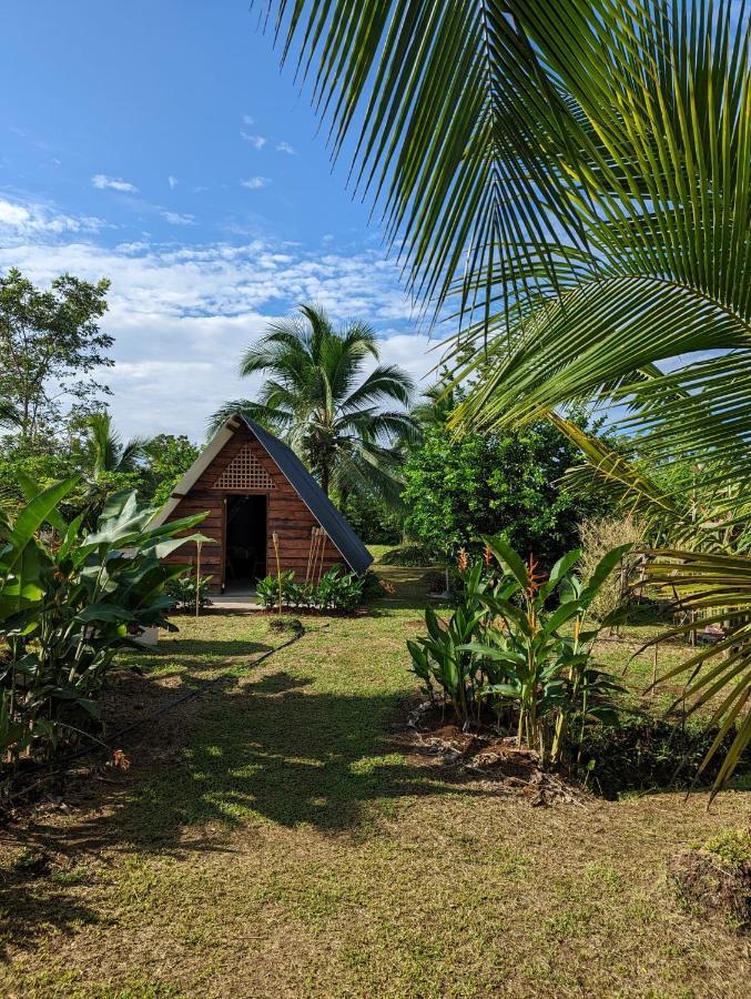 Hotel Bewak Cr Tortuguero Exteriér fotografie