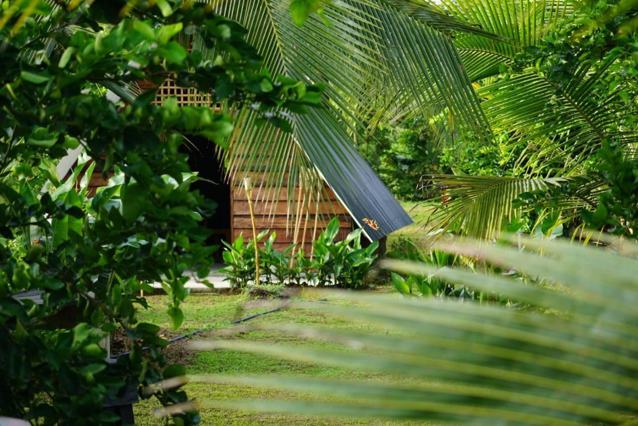 Hotel Bewak Cr Tortuguero Exteriér fotografie