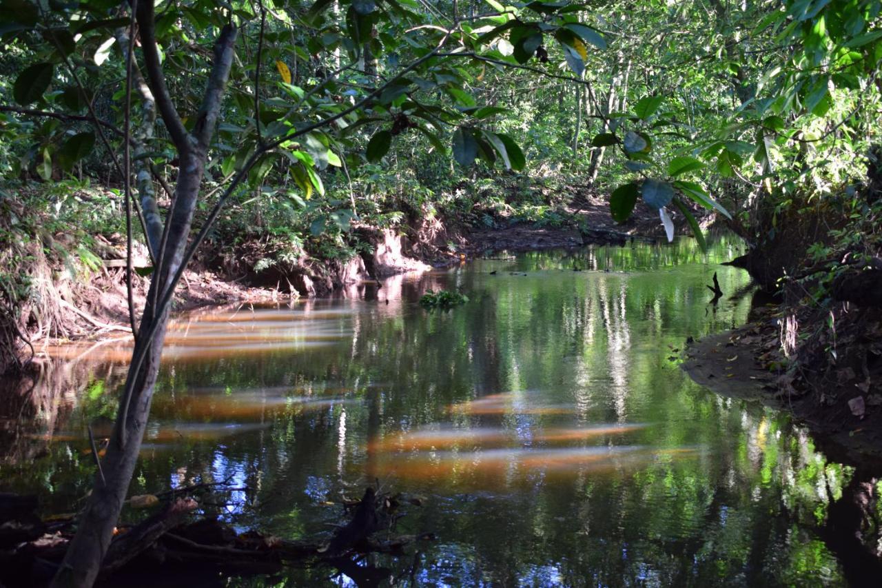 Hotel Bewak Cr Tortuguero Exteriér fotografie