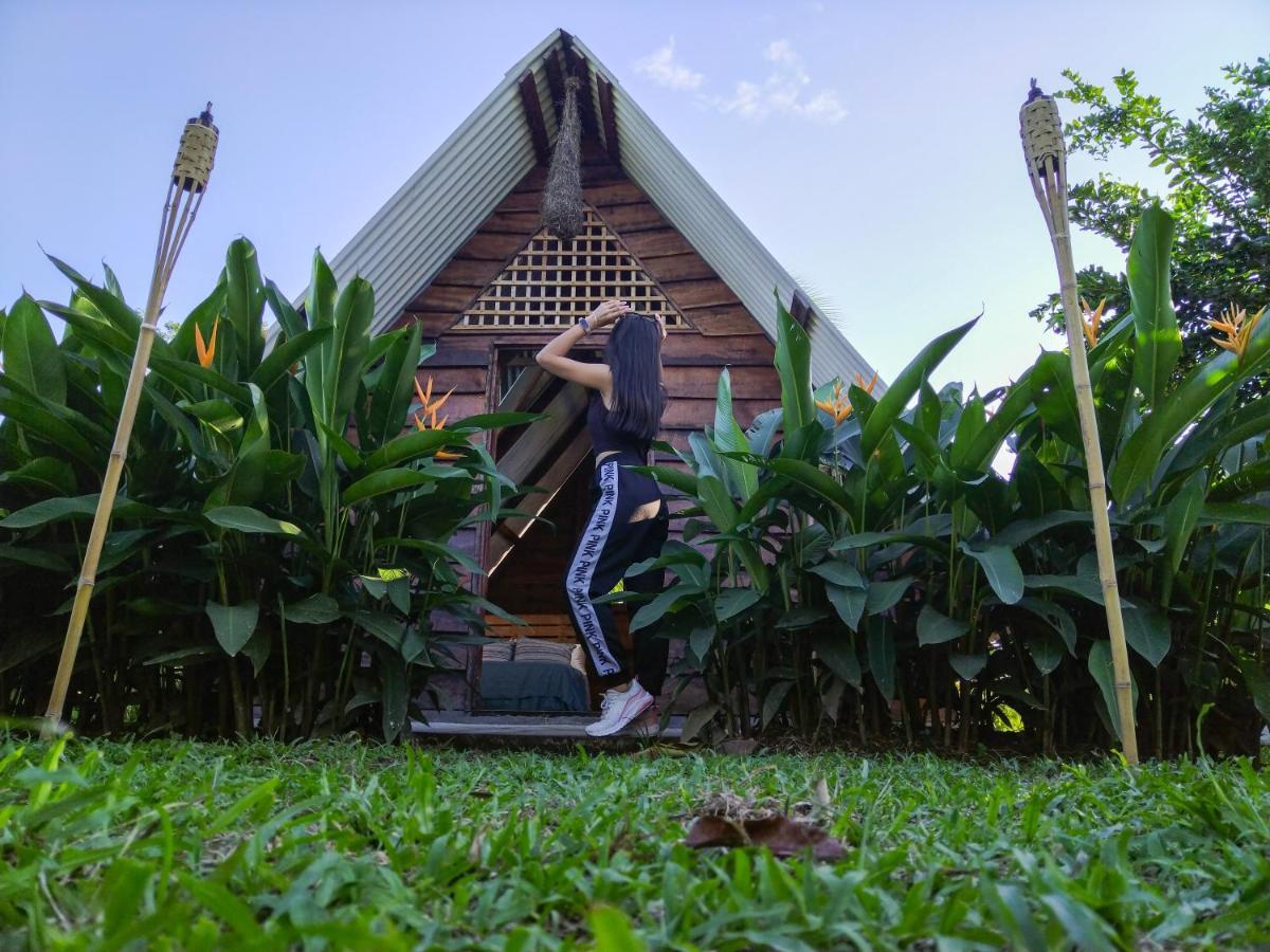 Hotel Bewak Cr Tortuguero Exteriér fotografie