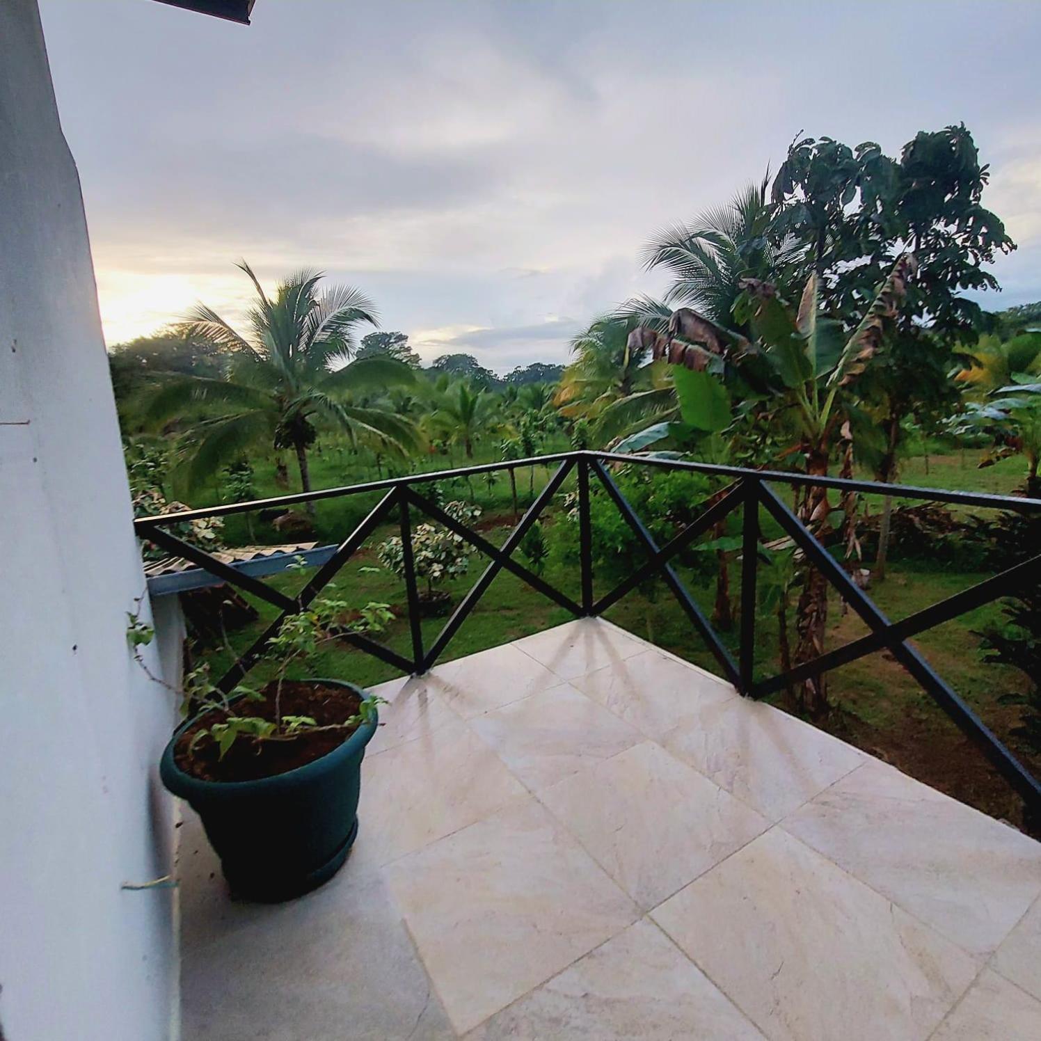 Hotel Bewak Cr Tortuguero Exteriér fotografie