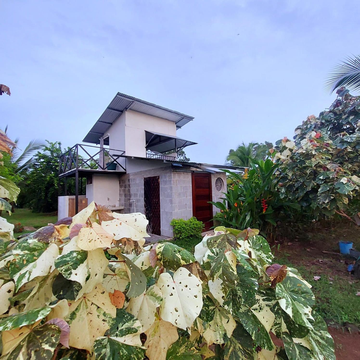 Hotel Bewak Cr Tortuguero Exteriér fotografie