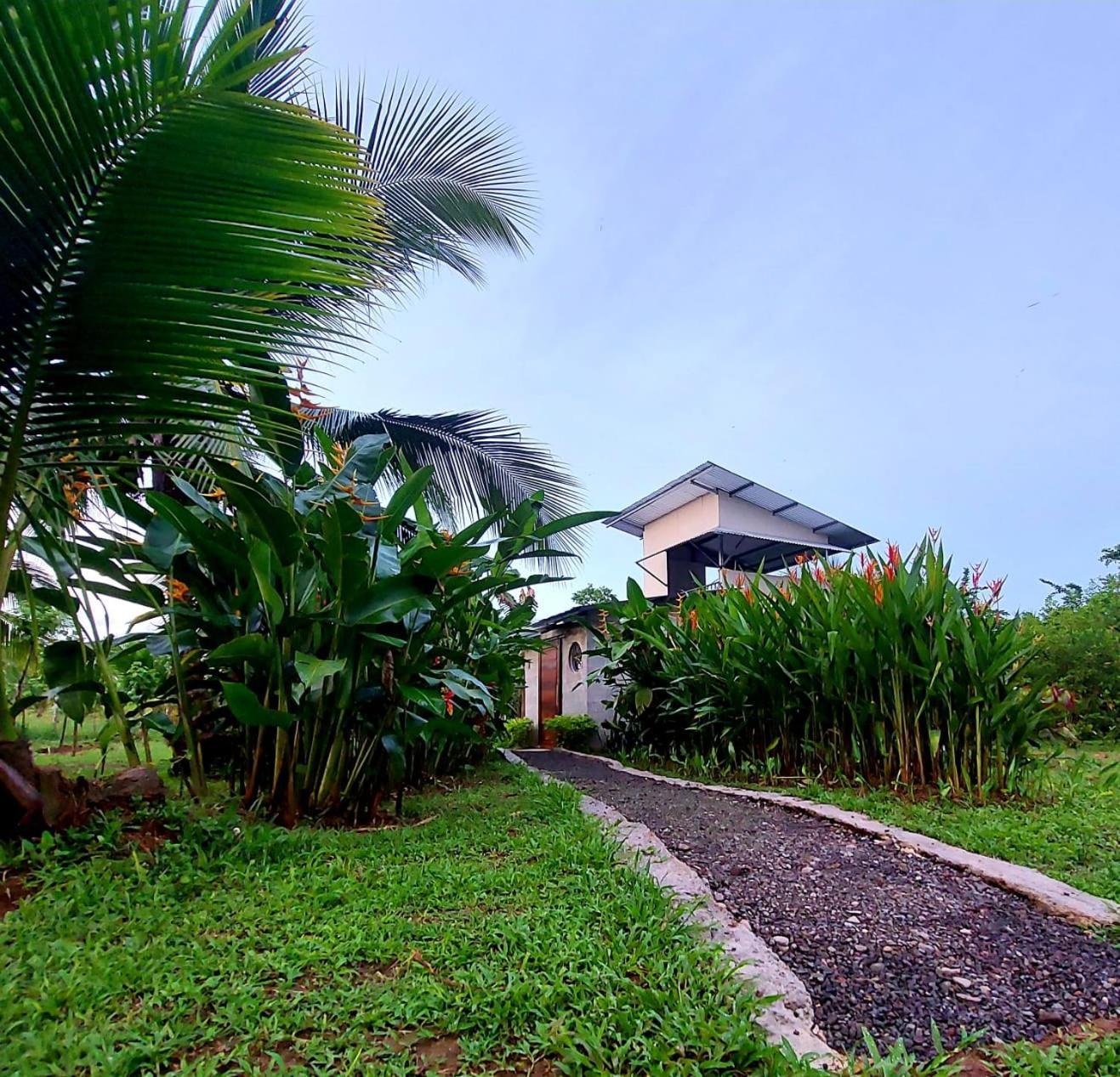 Hotel Bewak Cr Tortuguero Exteriér fotografie