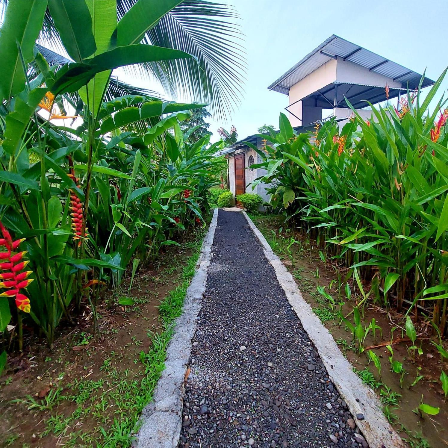 Hotel Bewak Cr Tortuguero Exteriér fotografie
